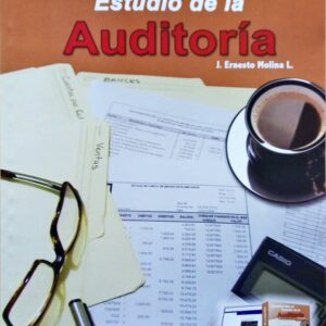 INTRODUCCION A LA AUNDITORIA