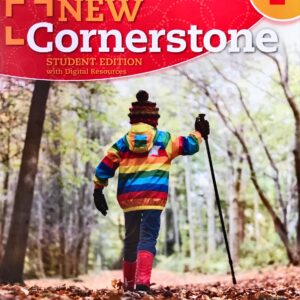 NEW CORNESTONE 1 SB