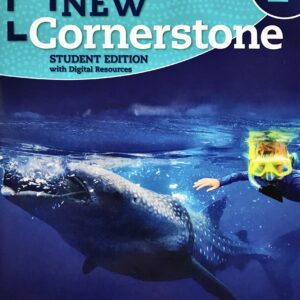 NEW CORNESTONE 2 SB