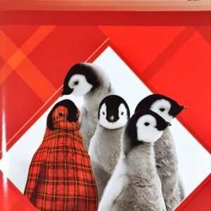 MCP PHONICS LEVEL A GLOBAL EDITION