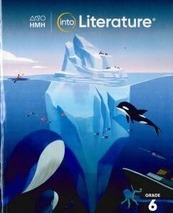 INTO LITERATURE G.6 STUDENT+1Y LICENSE