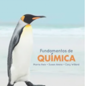 FUNDAMENTOS DE QUIMICA N.E (SOLO ALUMNOS NUEVOS)